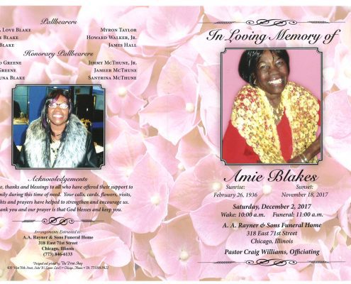 Amie Blakes Obituary