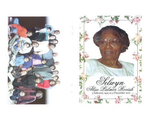 Selwyn Alise Palmer Revish Obituary