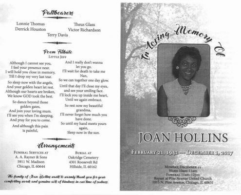 Joan Hollins Obituary