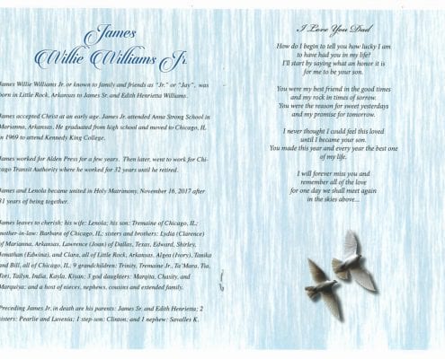 James Willie Williams Jr Obituary