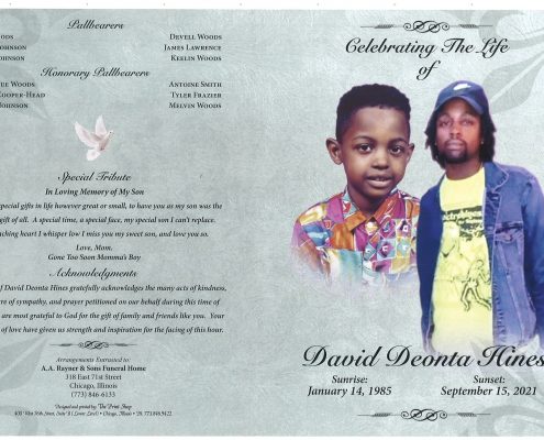 David D Hines Obituary