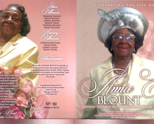 Annie E Blount Obituary