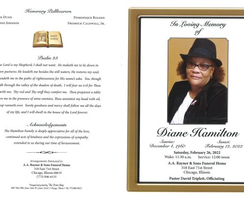 Diane Hamilton Obituary