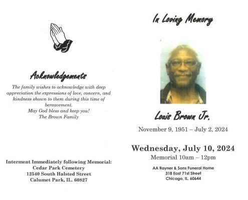 Louis Brown Jr Obituary
