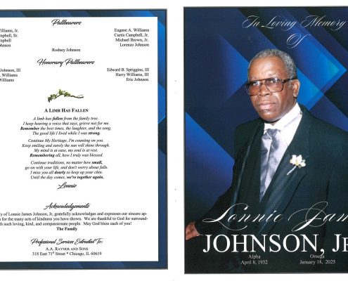 Lonnie J Johnson Jr Obituary