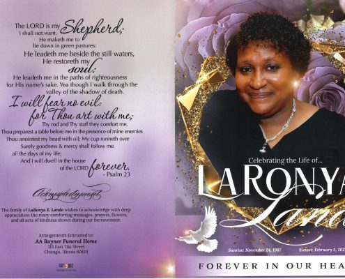 LaRonya E Lando Obituary
