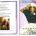Rosetta Knox Obituary